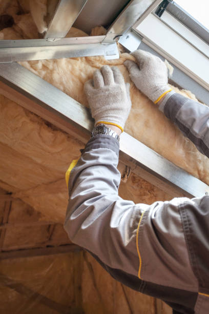 Best Insulation for Specific Applications in Rosita, TX